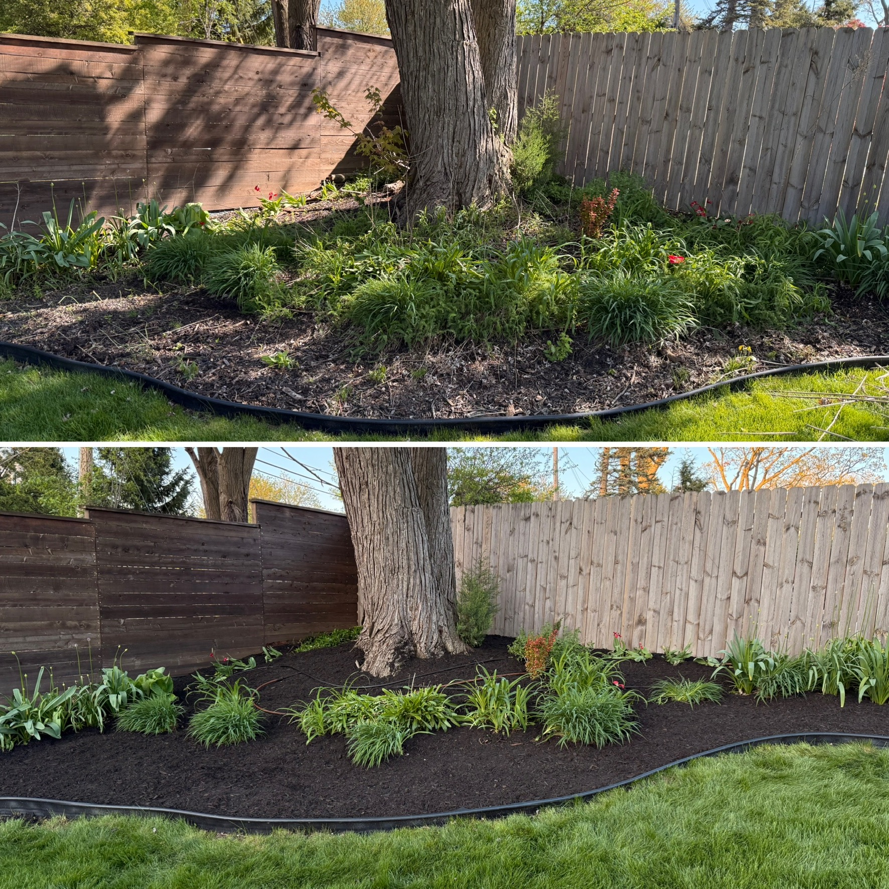 Curved garden bed mulch and edging