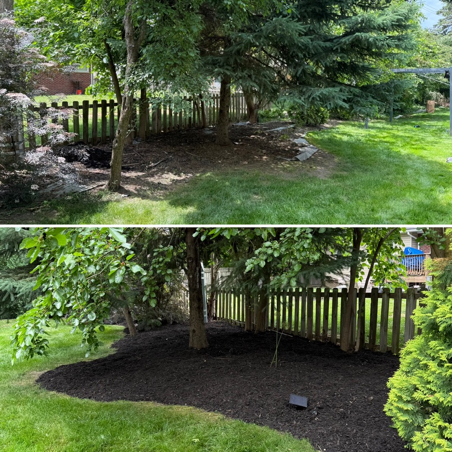 Backyard tree bed mulch installation