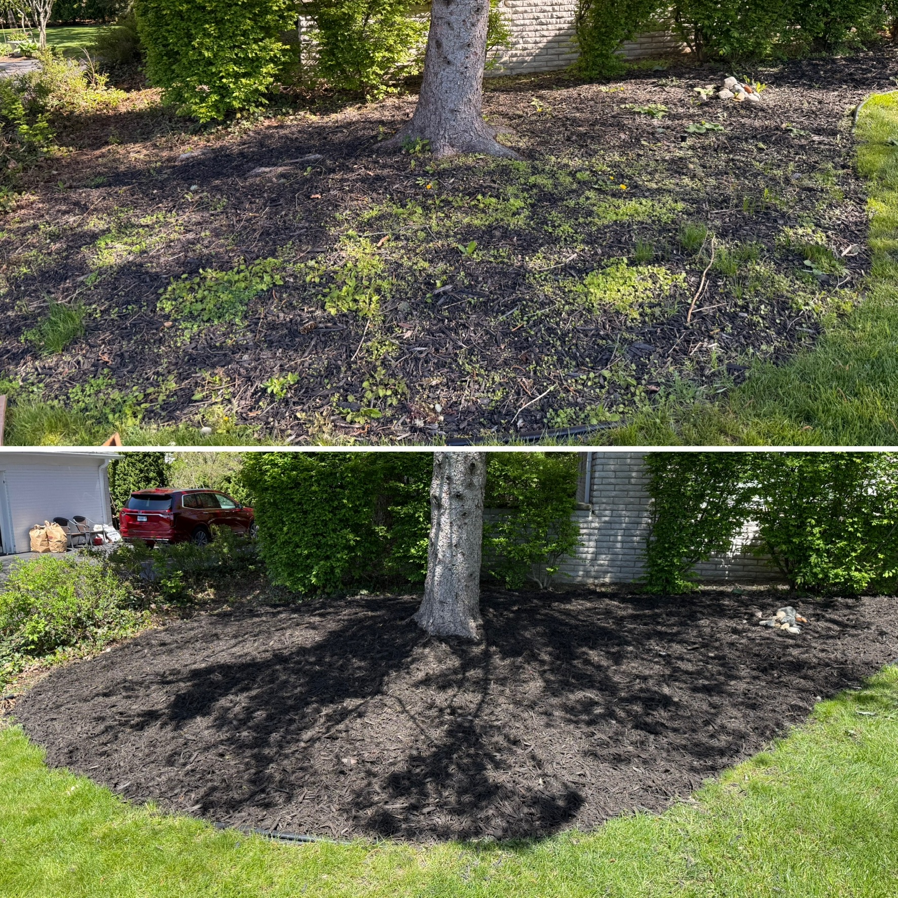 Front yard tree ring mulch bed