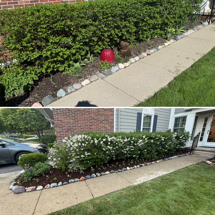 Overgrown walkway bed cleanup and redesign
